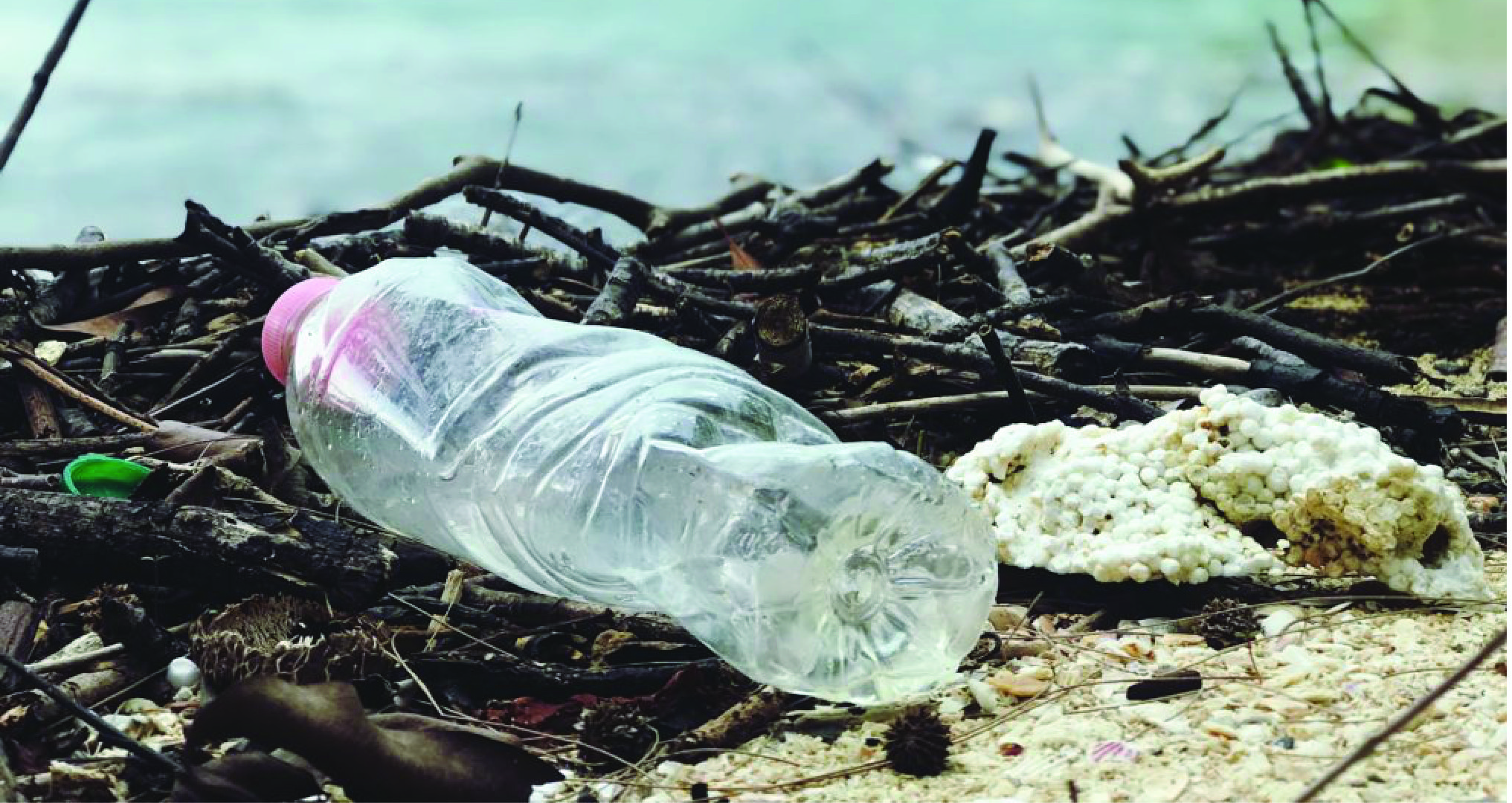 plastic bottle near the ocean