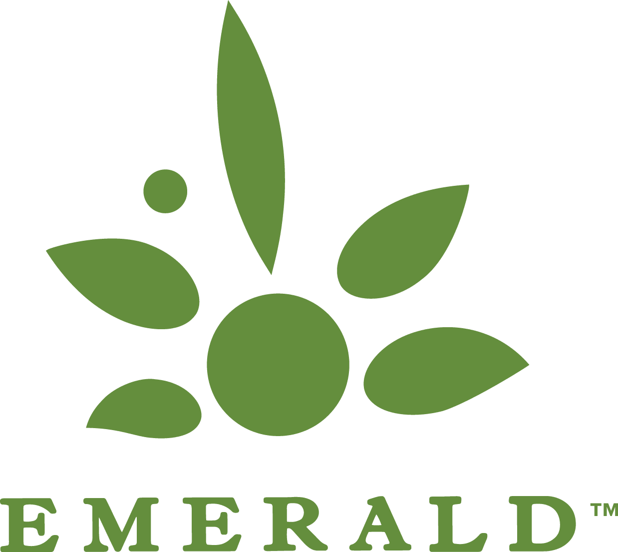 Simplified Emerald Logo Positive